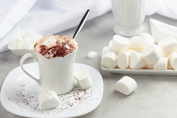 Fototapeta na wymiar Hot chocolate with marshmallows sprinkled with chocolate crumbs.