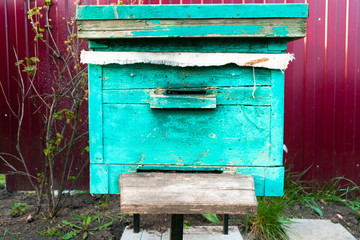 Many bee hives are in the courtyard of a private house. Private apiary. Honey production. The collection of honey. Agriculture. Beekeeping.