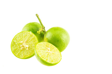 Lime green