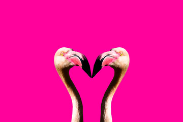 3D illustration of pink flamingo's facing each other with pink background