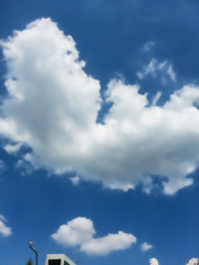 파란 하늘과 하얀 구름의 여름