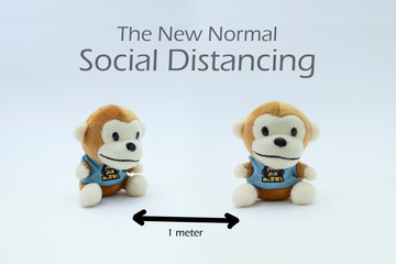 Two soft toys on white background with messages on new normal.  