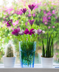 Beautiful flowers in a vase
