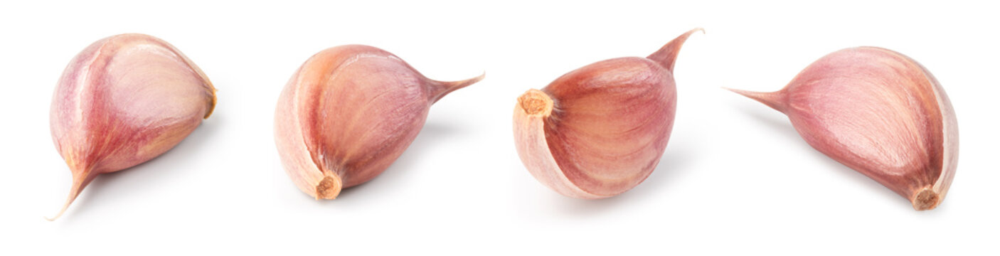 Garlic white background. Garlic cloves on white. Garlic clove isolated. Set with clipping path.