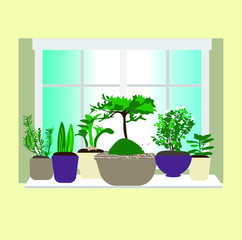 Green home houseplants on windowsill vectors