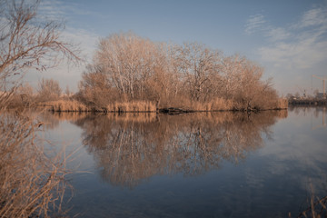 Obraz premium lake in winter
