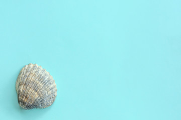 Summer travel background made of shell . Summer concept