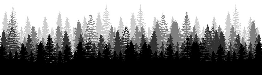Forest Panorama view. Pines. Spruce nature landscape. Forest background. Set of Pine, Spruce and Christmas Tree on White background. Silhouette forest background. Vector illustration © smile3377