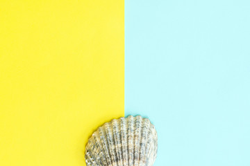 Summer travel background made of shell . Summer concept