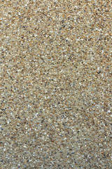 Pebbledash / roughcast wall 1