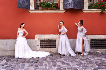 Beautiful bride and bridesmaids in gorgeous elegant stylish light grey silver floor length dresses...