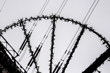 Electric pillon and barbed wire