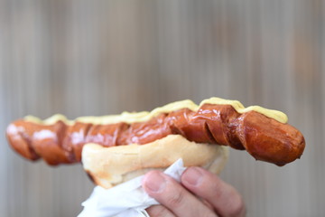 Hot dog in hand, German street food