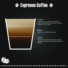 Infographic Espresso components, Espresso coffee has been available for more than 40 years. Can print the image as a shop decoration or give information in a coffee shop. Illustration and vector.
