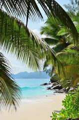 Fototapety  Tropikalna plaża