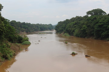 Nilambur teak museum, kerala