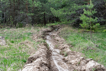 furrow plowed around the forest to protect from fire