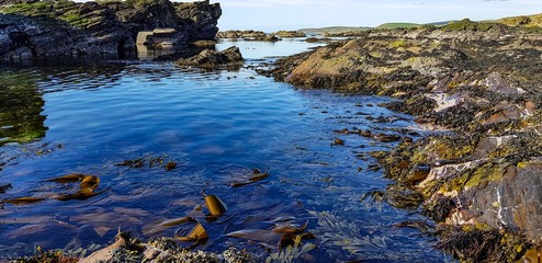 river and rocks