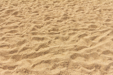 Fototapeta na wymiar Sea shore sand texture background