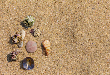Sea objects on sand - vacation background 1
