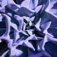 blue abstract background