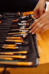 Makeup brushes set in case