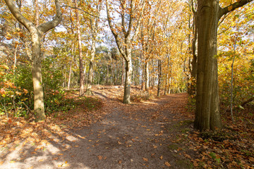 Naklejka premium Zoomland Bergen Op Zoom