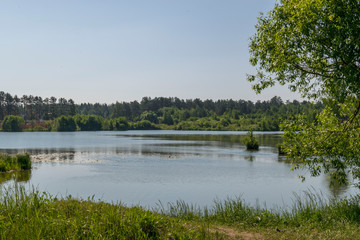 green summer landscape with a lake