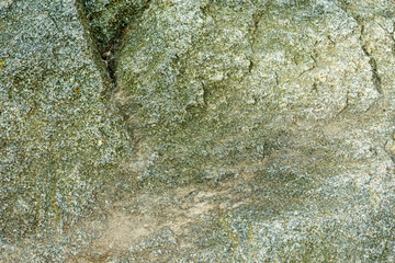 Dark brown stone, background or texture