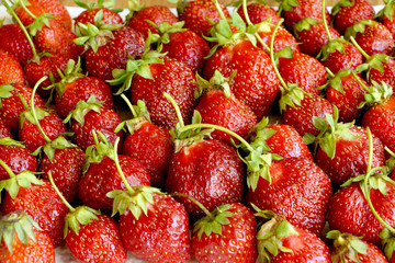 Scattering of dark red strawberry