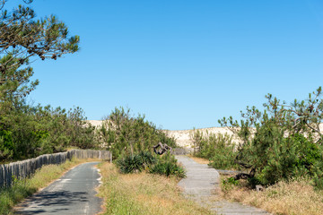 Carcans plage (Gironde, France), près de Lacanau