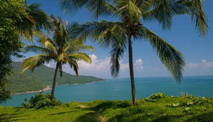Fototapeta na wymiar da nang vietnam 21.10.19 vacation destination perfect view of palm trees view point of the sea