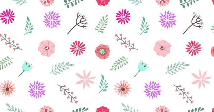 Vector floral pattern in doodle style with flowers and leaves on white background. Gentle, spring floral background. Loop animation 4K