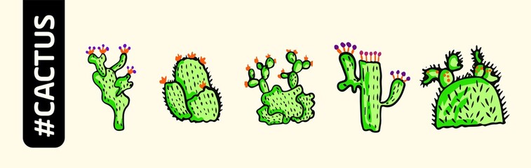 Cactus plants set. Vector colorful hand drawn outline sketch. illustration isolated on a white background. Collection of exotic plants. Decorative natural elements. Cactus with flowers. Vector EPS 10