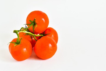 A tomato. Tomato branch. Branch of tomato on a white background. Place for text