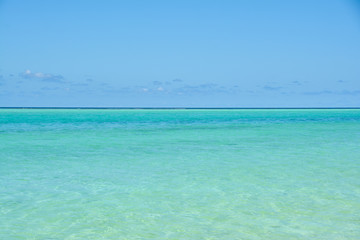 Turquoise water and blue sky. Maldives.
Tropical beach with turquoise water. For wallpaper design.