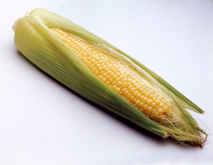 Durazno 