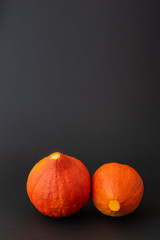 Two fresh orange pumpkins, black background, side view, copy space, vertical