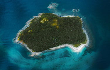 Aerial view uninhabited island in ocean drone landscape in Norway above forest trees and blue sea water scandinavian nature top down scenery