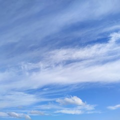 Naklejka na ściany i meble gentle blue sky with clouds, square shape background