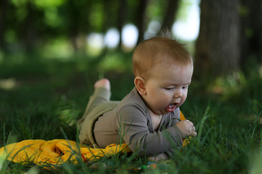 baby lies on green grass on a sunny day