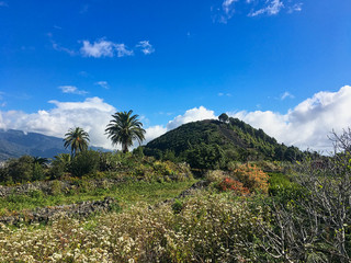 La Palma Berg