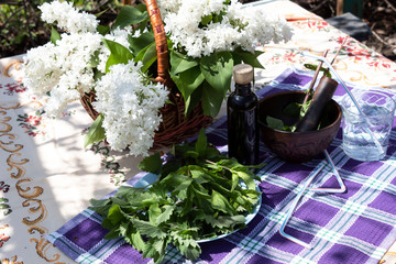 In the garden on the table is a basket with white lilacs. On a plate are melissa and mint leaves. In a clay bowl lie leaves for mashing. Nearby is a bottle of oil and a glass of water.