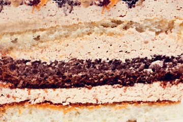 Chocolate cake, texture, closeup, front view