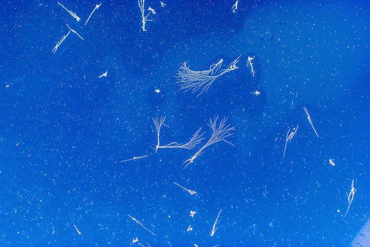 Frostwork on airplane window  during flight