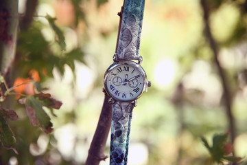 The green Watch is placed on a tree branch . Green Watch green background .