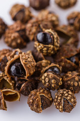fragrant Sichuan pepper on white acrylic background