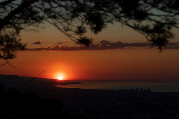 Sunrise in the coast with tree shadows 