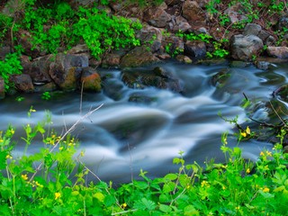 Petit cascade situer en Alsace 