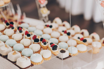 Delicious creamy desserts with fruits, macarons, cakes and cookies on table at wedding reception in restaurant. Luxury catering service. Wedding candy bar.